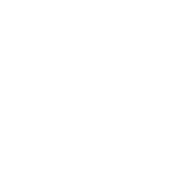 Partner 1